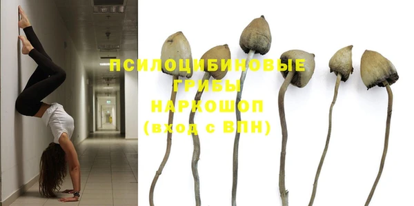 тгк Абдулино