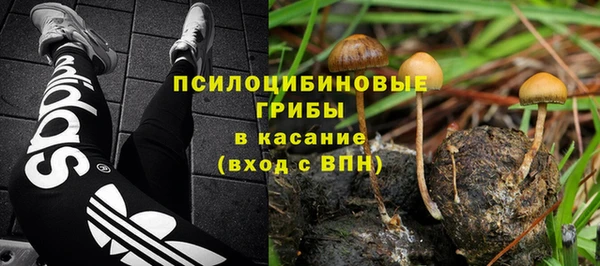 гашик Абинск