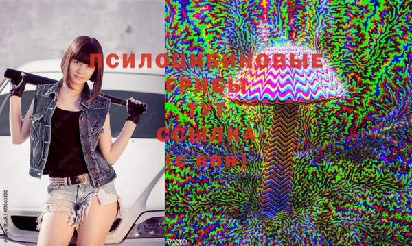 тгк Абдулино