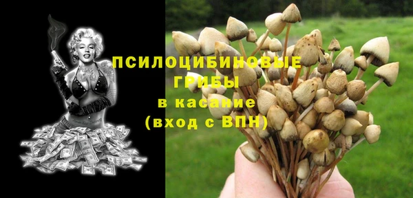 кристаллы Абаза