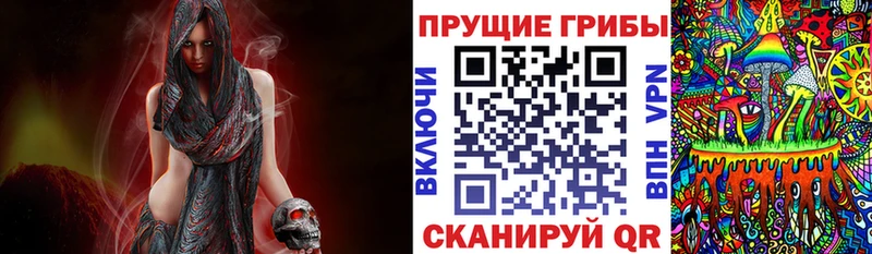 Галлюциногенные грибы Cubensis  дарнет шоп  нарко площадка как зайти  Лесозаводск 